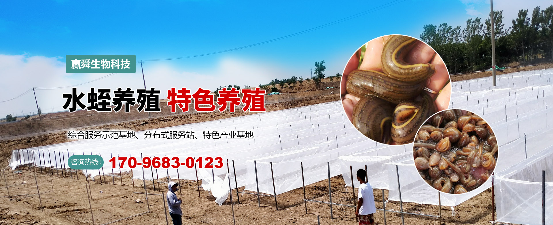 j9国际集团