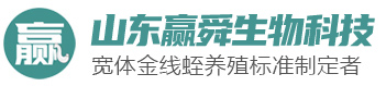 j9国际集团