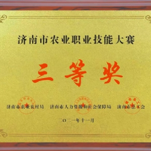 资质荣誉