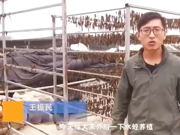 行业近况