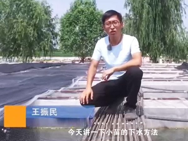 j9国际集团幼苗的下水步骤