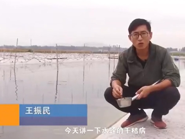 j9国际集团干枯病产生涯法规及防治步骤