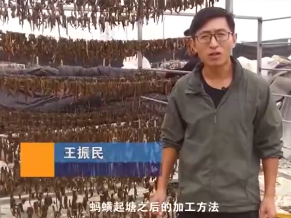 j9国际集团加工步骤