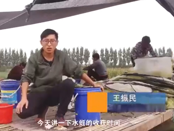 j9国际集团收成功夫