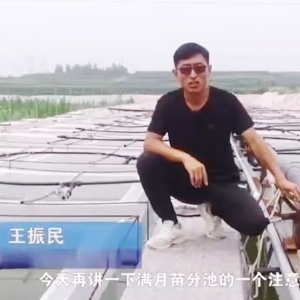j9国际集团满月苗确当苦衷项
