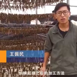 j9国际集团加工步骤