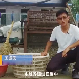 选址-食品选择